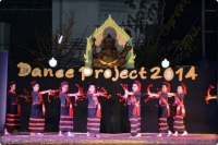 Dance Project 2014